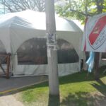 Los Ponis de River: presente en la Fiesta del Caballo