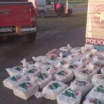 Pizza, birra y…no, en este caso mozzarella y pistola