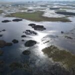 «La cosa está desmadrada»: el oscuro panorama que dio la Sociedad Rural por las inundaciones